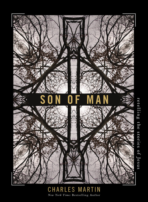 Son of Man (Retelling the Stories of Jesus) by Charles Martin, 9781400333523