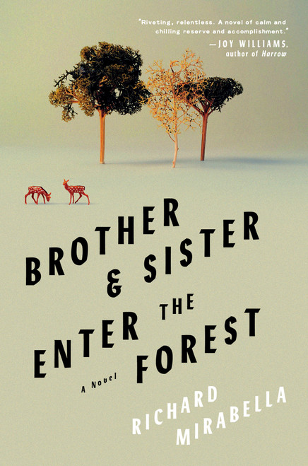 Brother & Sister Enter the Forest (A Novel) by Richard Mirabella, 9781646221172