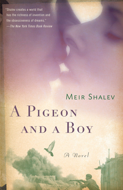 A Pigeon and a Boy (A Novel) by Meir Shalev, 9780805212143