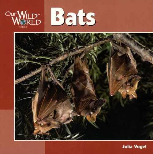 Bats - 9781559719698 by Julia Vogel, 9781559719698