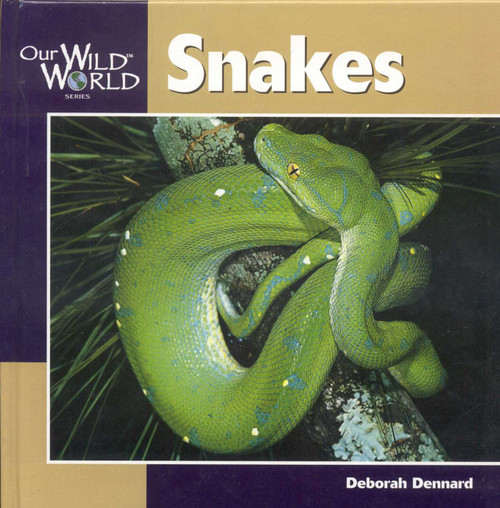 Snakes - 9781559718554 by Deborah Dennard, 9781559718554