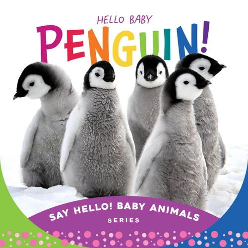 Hello Baby Penguin! by Beverly Rose, 9781534112834