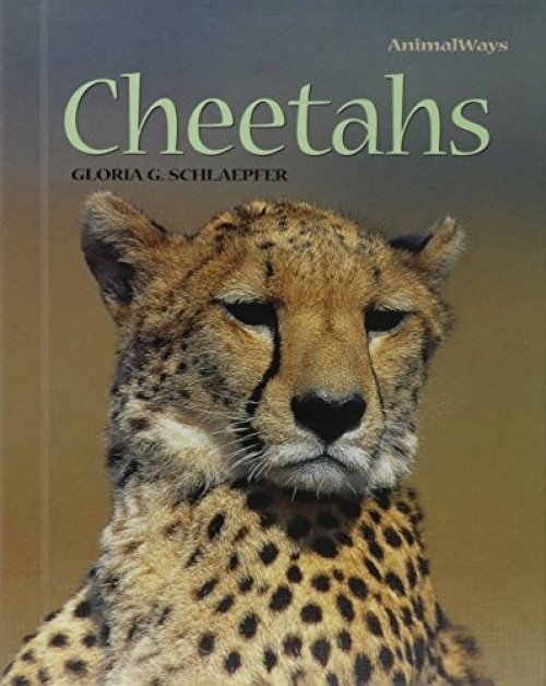 Cheetahs - 9780761412663 by Gloria G. Schlaepfer