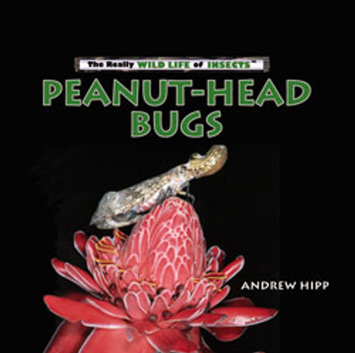 Peanut-Head Bugs by Andrew Hipp, 9780823962426
