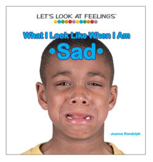 What I Look Like When I Am Sad by Joanne Randolph, 9781404225077