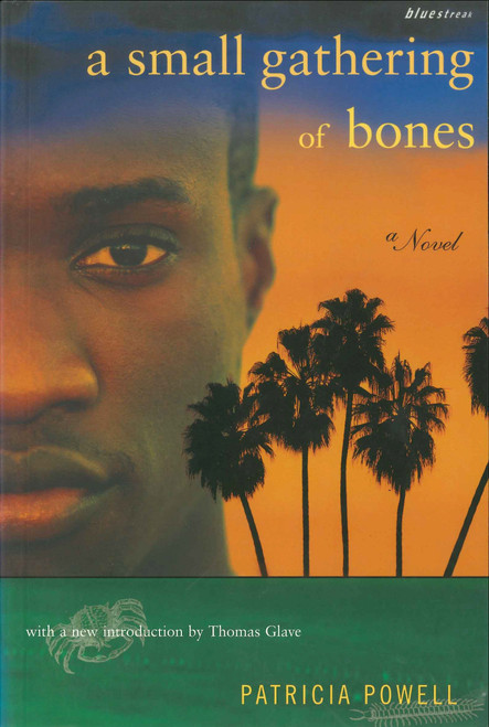 A Small Gathering of Bones by Patricia Powell, 9780807083673