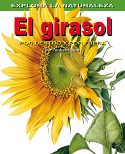 El girasol: Por dentro y por fuera (Sunflower: Inside and Out) by Andrew Hipp, 9781404228689