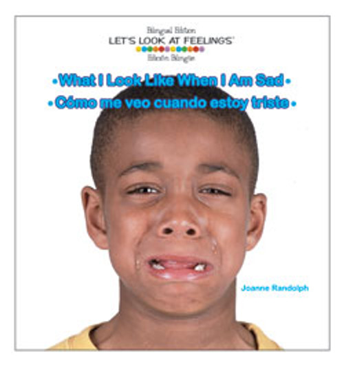 What I Look Like When I Am Sad / Cómo me veo cuando estoy triste (Bilingual Edition) by Joanne Randolph, 9781404275072