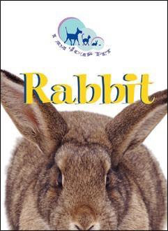 Rabbit by Matthew Rayner, 9780836841053