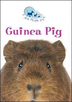 Guinea Pig by Matthew Rayner, 9780836883855