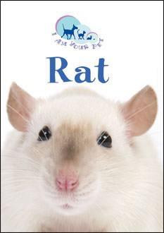 Rat - 9780836883862 by Matthew Rayner, 9780836883862