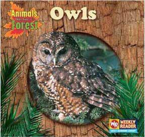 Owls - 9780836844849 by JoAnn Early Macken, 9780836844849