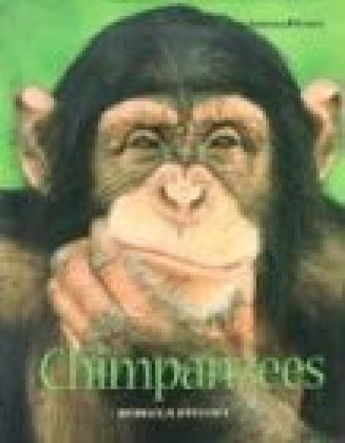 Chimpanzees - 9780761415794 by Rebecca Stefoff