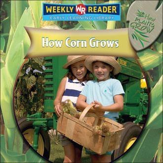 How Corn Grows by Joanne Mattern, 9780836863307
