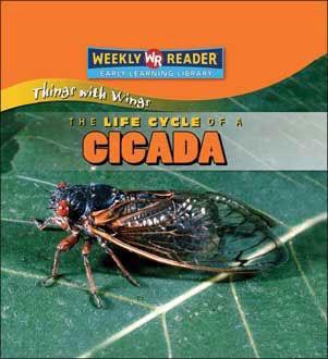 The Life Cycle of a Cicada by JoAnn Early Macken, 9780836863802