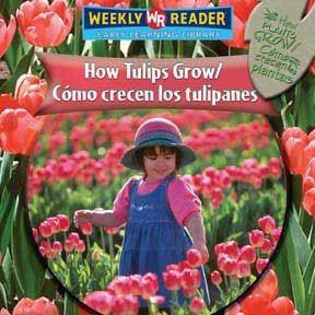 How Tulips Grow / Cómo crecen los tulipanes by Joanne Mattern, 9780836864656