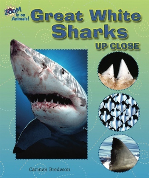 Great White Sharks Up Close by Carmen Bredeson, 9780766024953