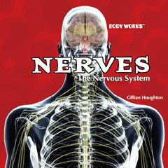 Nerves: The Nervous System by Gillian Houghton, 9781404221833