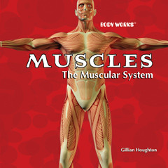 Muscles: The Muscular System by Gillian Houghton, 9781404221840