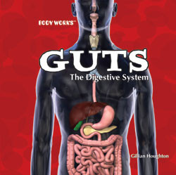 Guts: The Digestive System - 9781404234703 by Gillian Houghton, 9781404234703