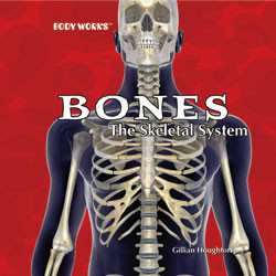 Bones: The Skeletal System - 9781404234734 by Gillian Houghton, 9781404234734