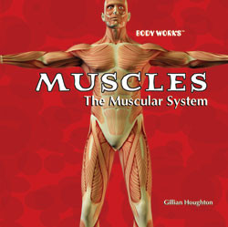 Muscles: The Muscular System - 9781404234758 by Gillian Houghton, 9781404234758