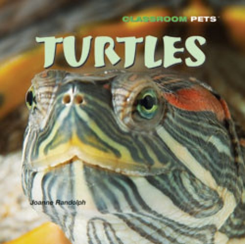 Turtles - 9781404236776 by Joanne Randolph