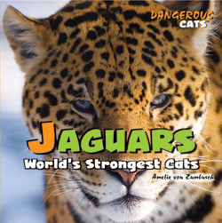 Jaguars - 9781404236288 by Amelie von Zumbusch, 9781404236288