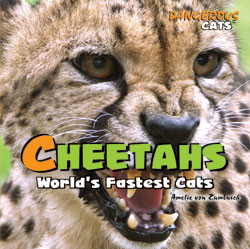 Cheetahs - 9781404236301 by Amelie von Zumbusch, 9781404236301