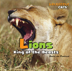 Lions - 9781404236318 by Amelie von Zumbusch, 9781404236318