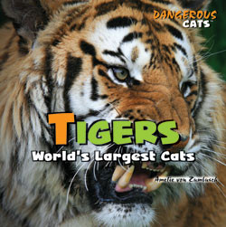Tigers - 9781404236325 by Amelie von Zumbusch, 9781404236325