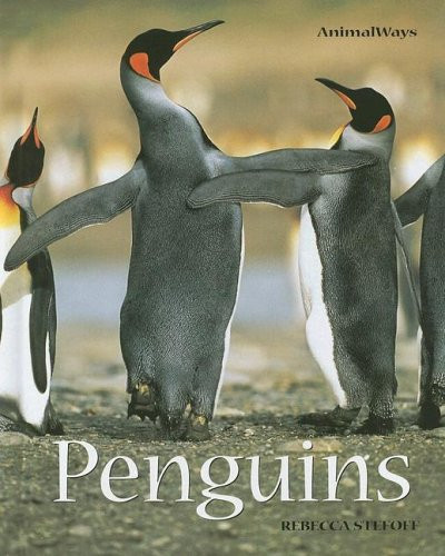 Penguins - 9780761417439 by Rebecca Stefoff, 9780761417439