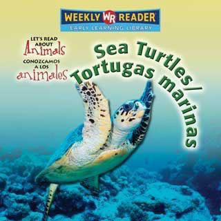 Sea Turtles / Tortugas marinas by Kathleen Pohl, 9780836880090