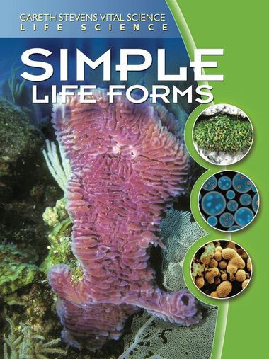 Simple Life Forms - 9780836884524 by Darlene R. Stille, 9780836884524