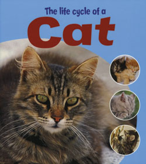 The Life Cycle of a Cat - 9781404237100 by Ruth Thomson
