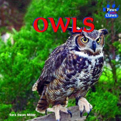 Owls - 9781404241657 by Sara Swan Miller