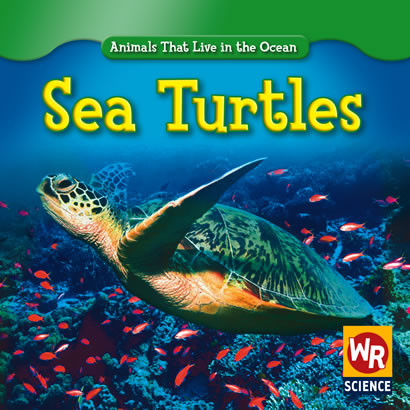 Sea Turtles - 9780836892444 by Valerie J. Weber, 9780836892444