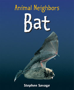 Bat - 9781404245723 by Stephen Savage, 9781404245723