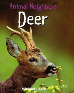 Deer - 9781404245730 by Michael Leach, 9781404245730