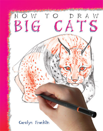 How to Draw Big Cats by Carolyn Franklin, 9781435825161
