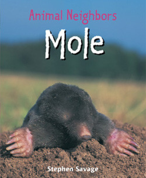 Mole - 9781435849891 by Stephen Savage