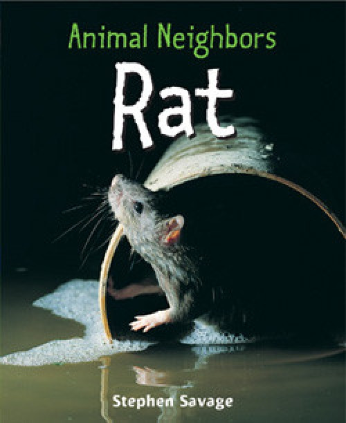 Rat - 9781435849914 by Stephen Savage