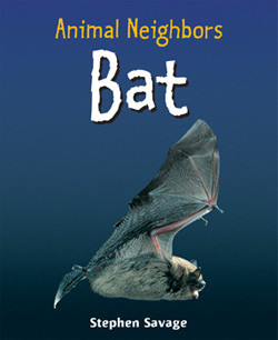 Bat - 9781435849952 by Stephen Savage, 9781435849952