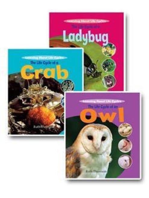 Learning About Life Cycles: Set 2, 9781435830103