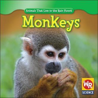 Monkeys - 9781433900242 by Julie Guidone, 9781433900242