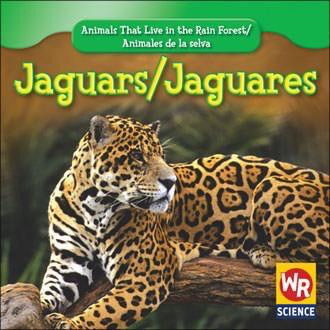 Jaguars / Jaguares by Julie Guidone, 9781433900624