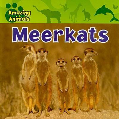 Meerkats - 9781433920158 by Justine Ciovacco, 9781433920158