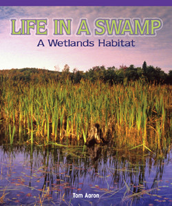 Life in a Swamp: A Wetlands Habitat by Vivian Marais, 9781435829725