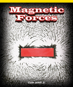 Magnetic Forces by Elizabeth Lachner, 9781435829862