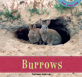 Burrows - 9781435826977 by Therese Hopkins, 9781435826977
